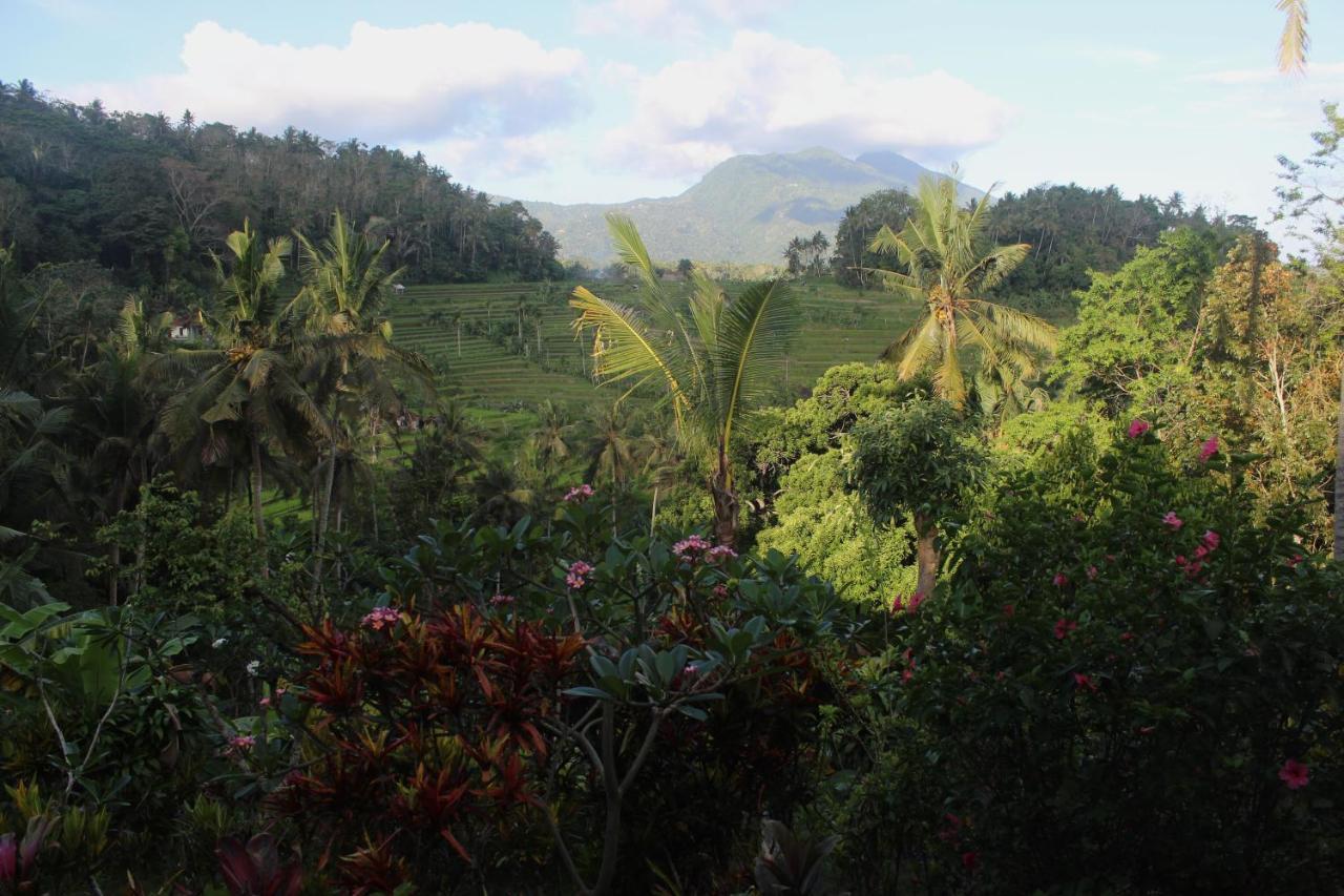 Pondok Lembah Dukuh Homestay Karangasem エクステリア 写真