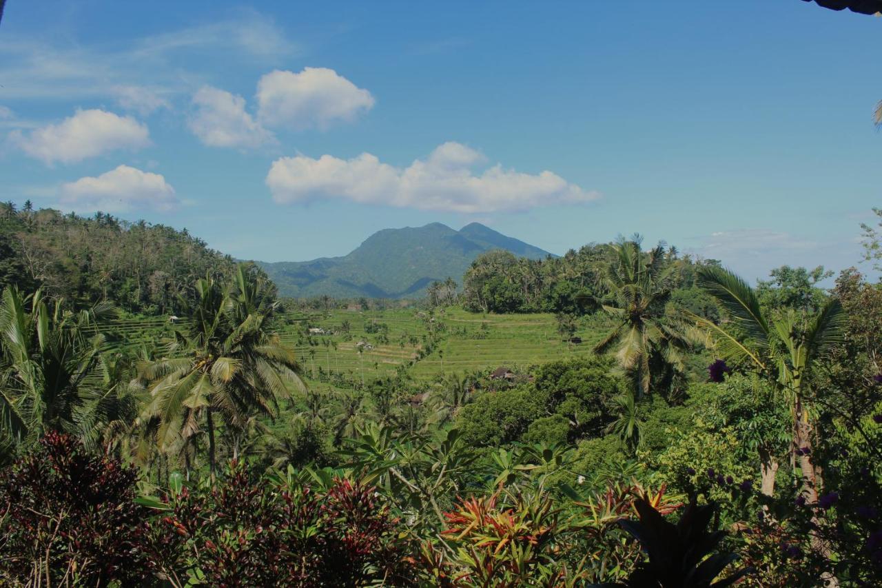 Pondok Lembah Dukuh Homestay Karangasem エクステリア 写真