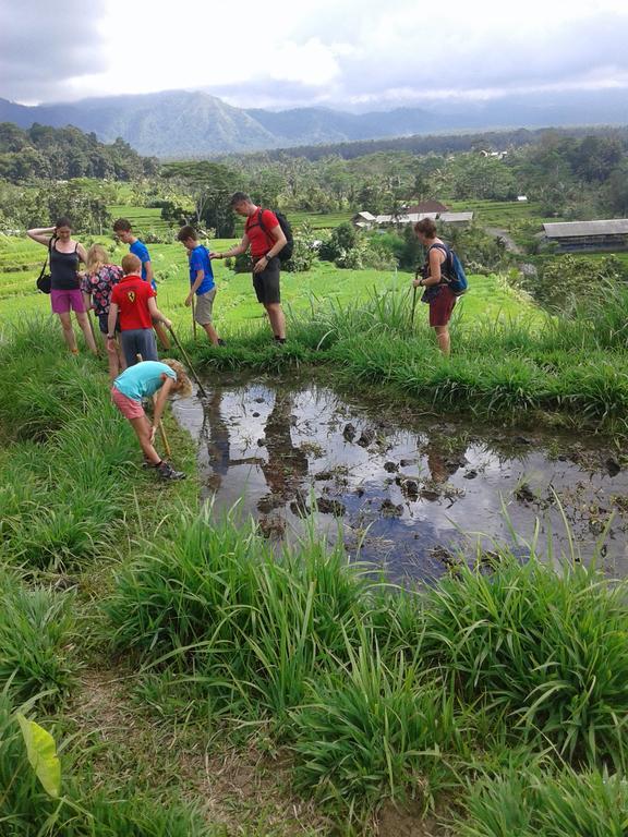 Pondok Lembah Dukuh Homestay Karangasem エクステリア 写真